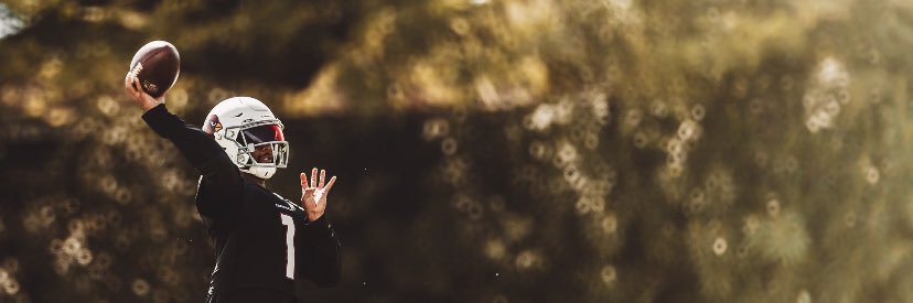 dlanger_cinco's profile banner image