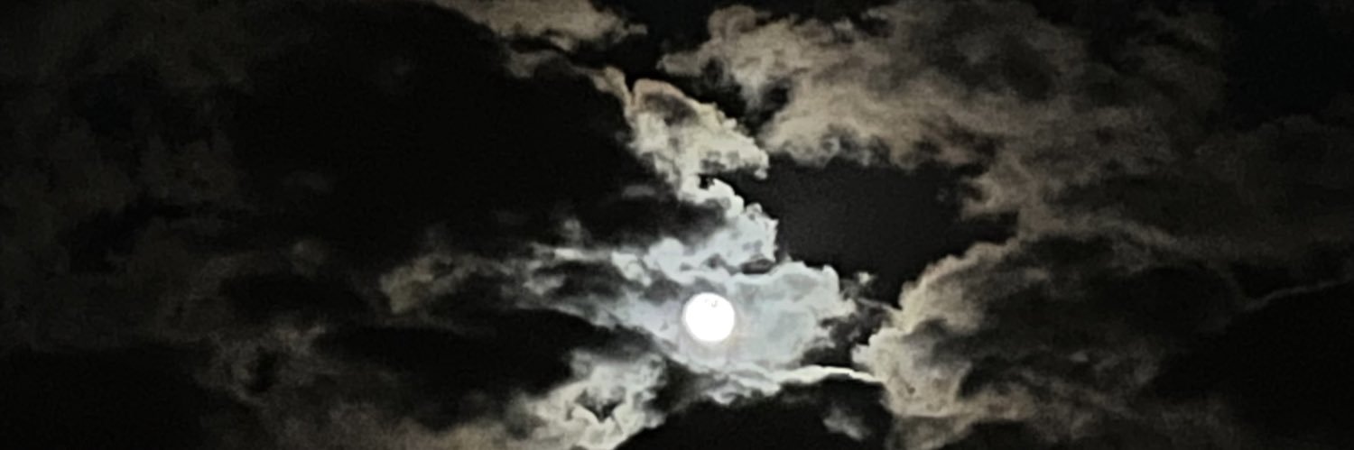 itzeldelrey's profile banner image
