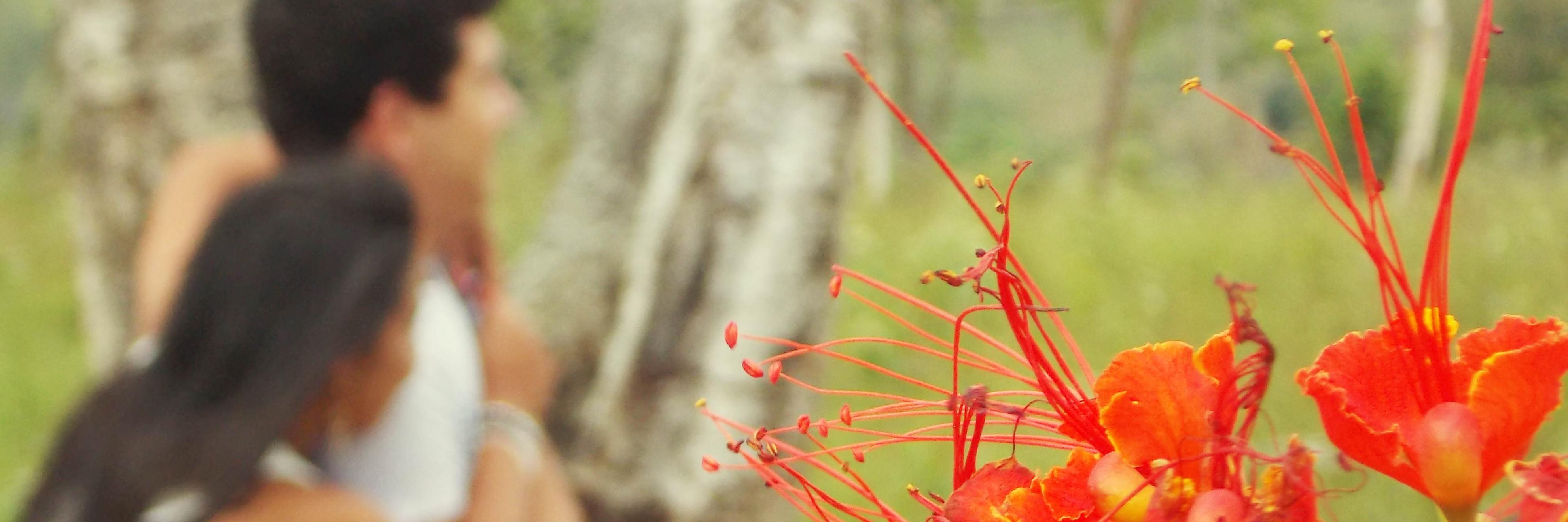 tarcisiokts's profile banner image