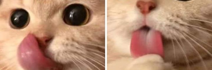 ISA_YAIR's profile banner image