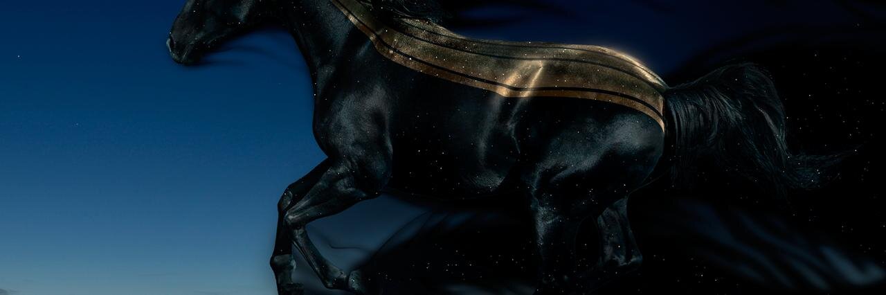 fgadi's profile banner image