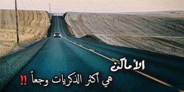 bo saad banner