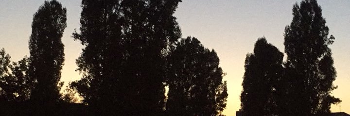 ndemrci's profile banner image