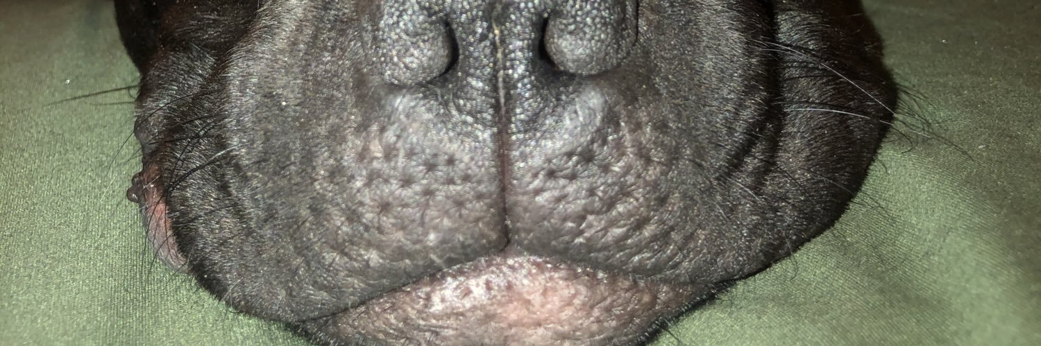 PureBodiJean's profile banner image