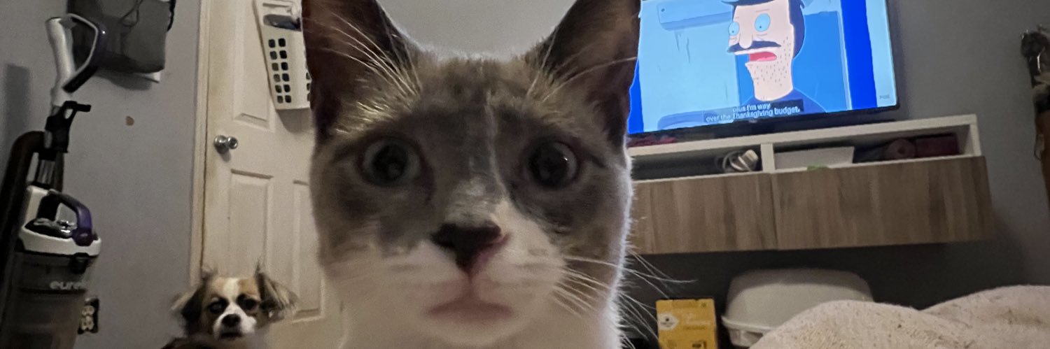 myaraet's profile banner image
