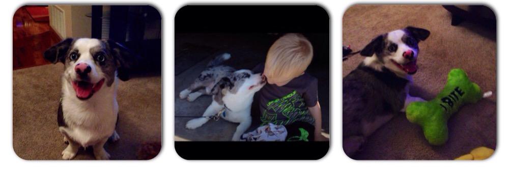jo_jost's profile banner image