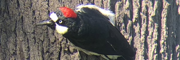 kelseyreck Profile Banner