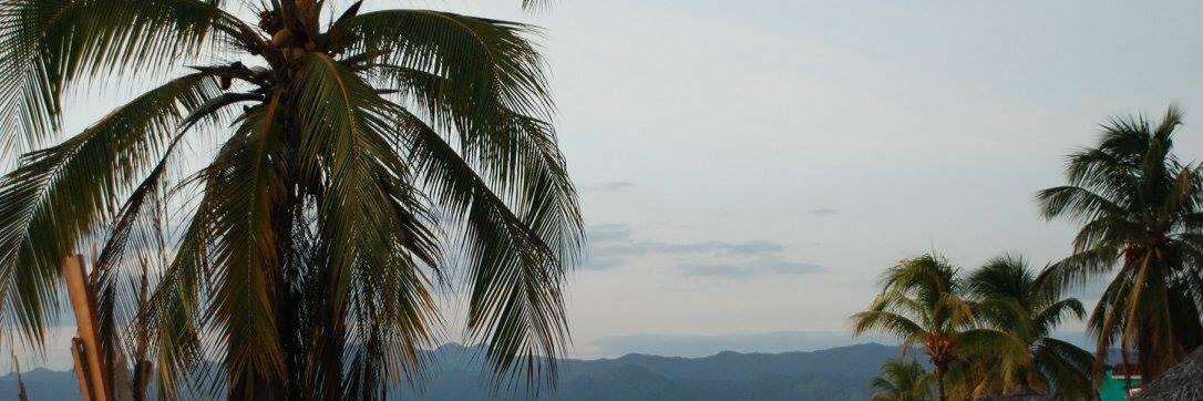 CharlineDcq's profile banner image