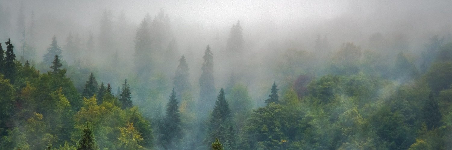 Vision Impulse banner