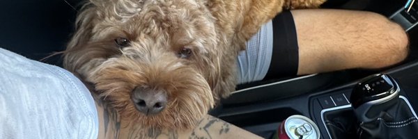 discolines Profile Banner