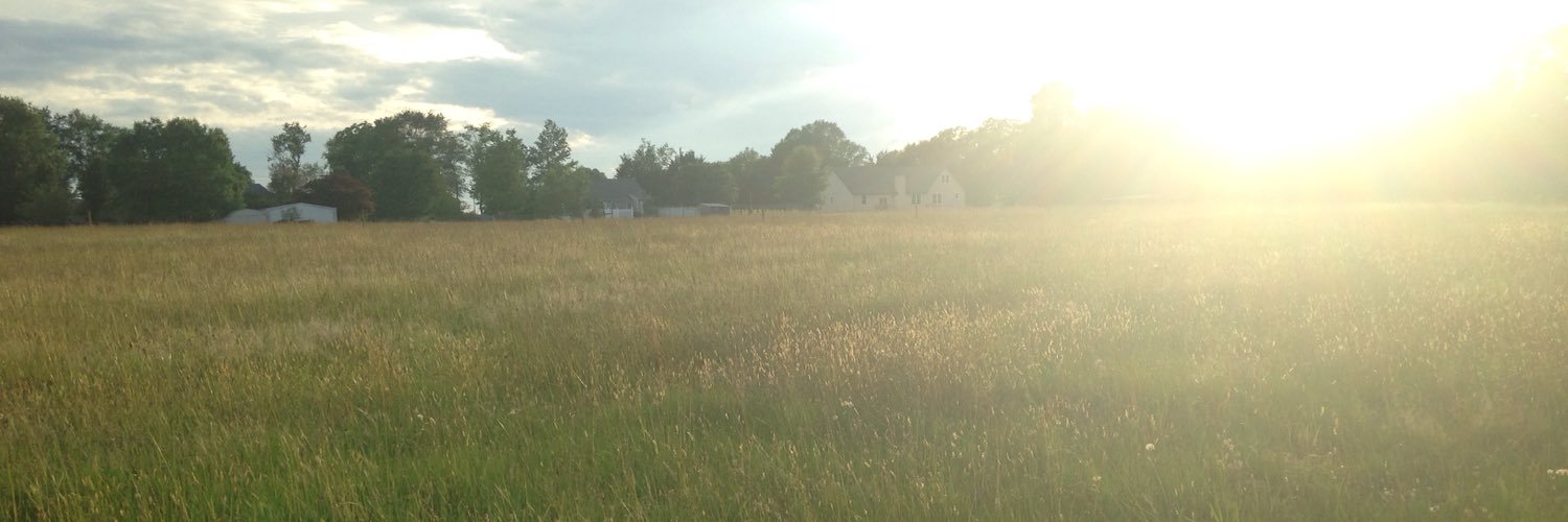 Wamenees's profile banner image