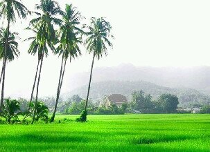 _panggo's profile banner image