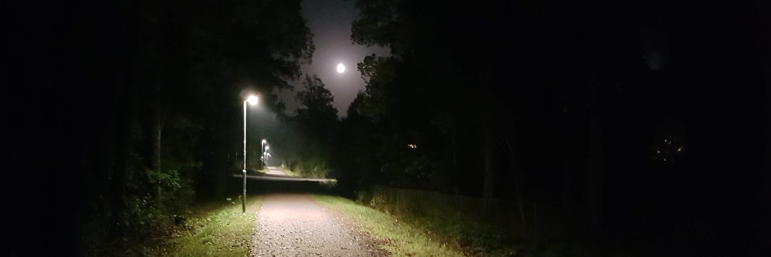 bjornrhoads's profile banner image