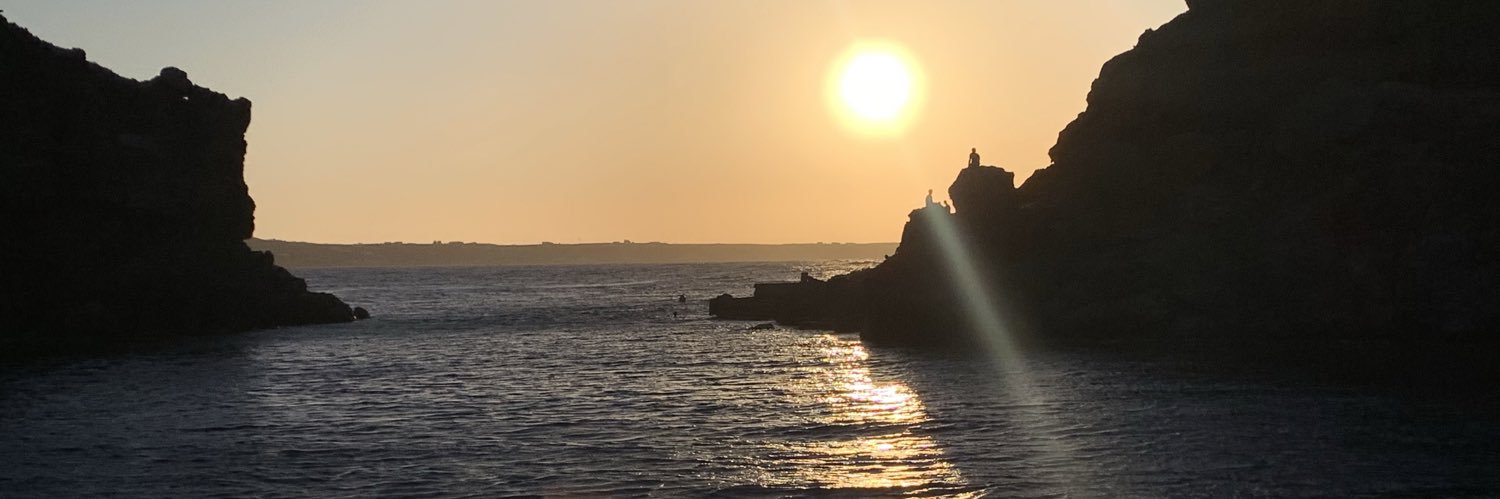 Priscila Renwick banner