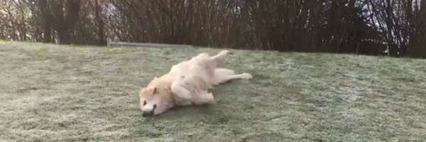 damkildecs Profile Banner