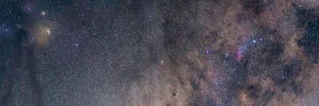 nekothik's profile banner image