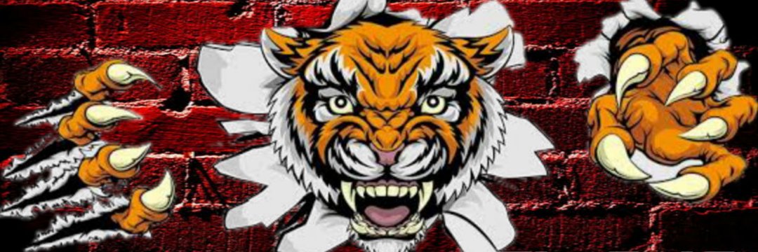 JLTIGRESOSA's profile banner image