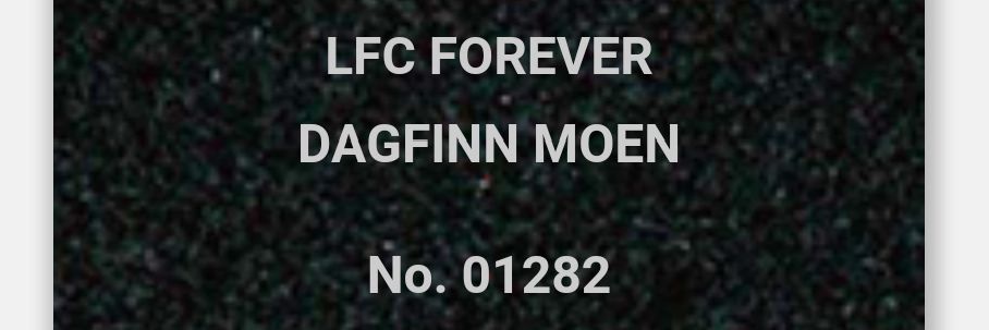 dagfinnmoen's profile banner image