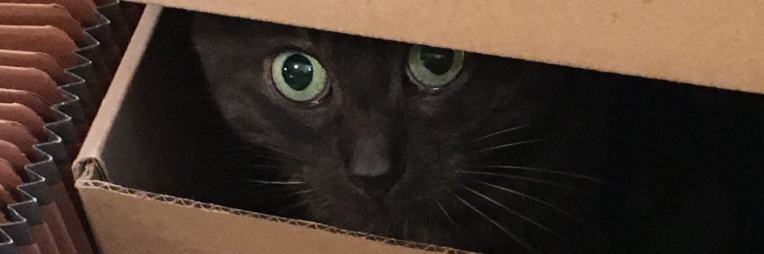 LornaFish112's profile banner image