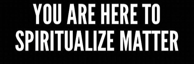 TheMeshugsta's profile banner image