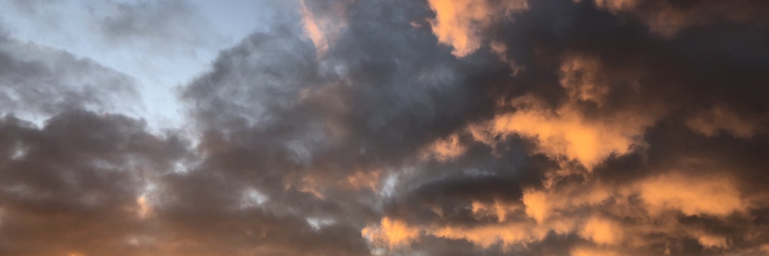 susannaht17's profile banner image