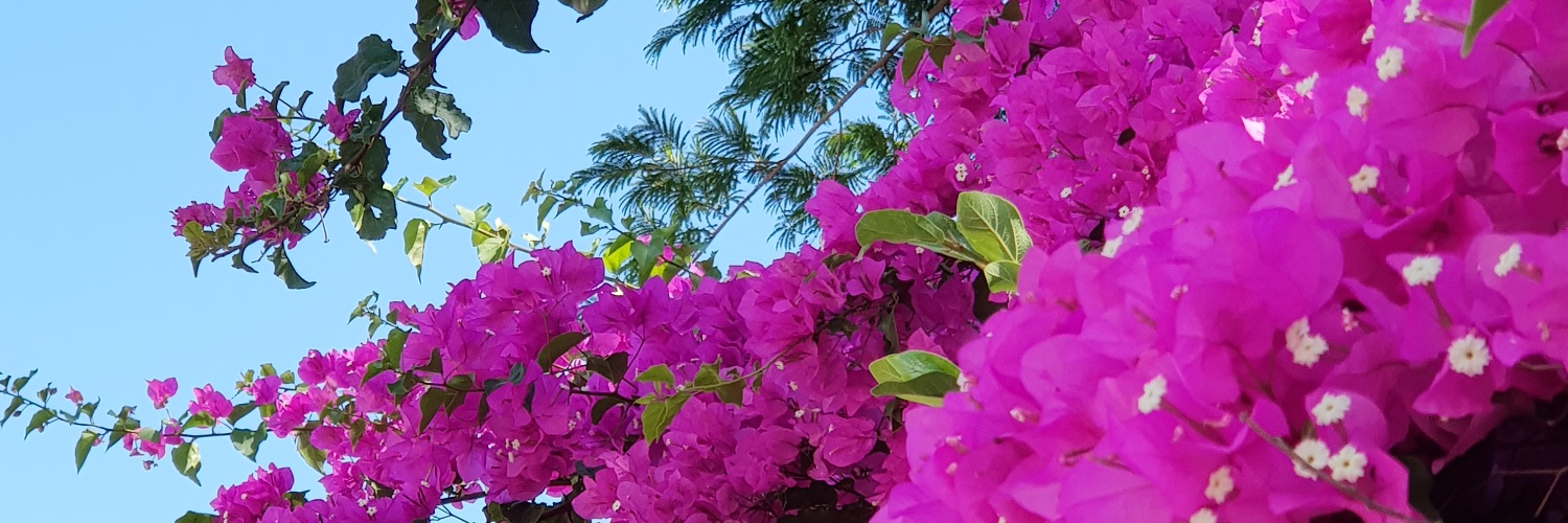 lberlioz's profile banner image