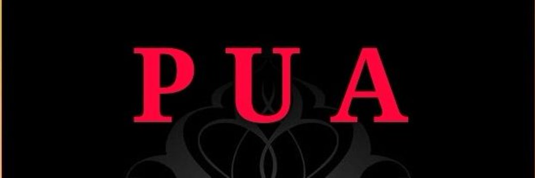 shellin51569948's profile banner image