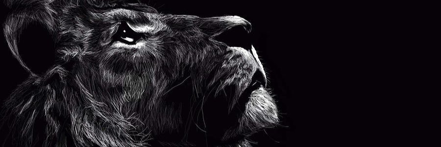 djadaino's profile banner image