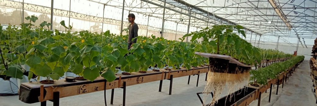 eekifoods banner