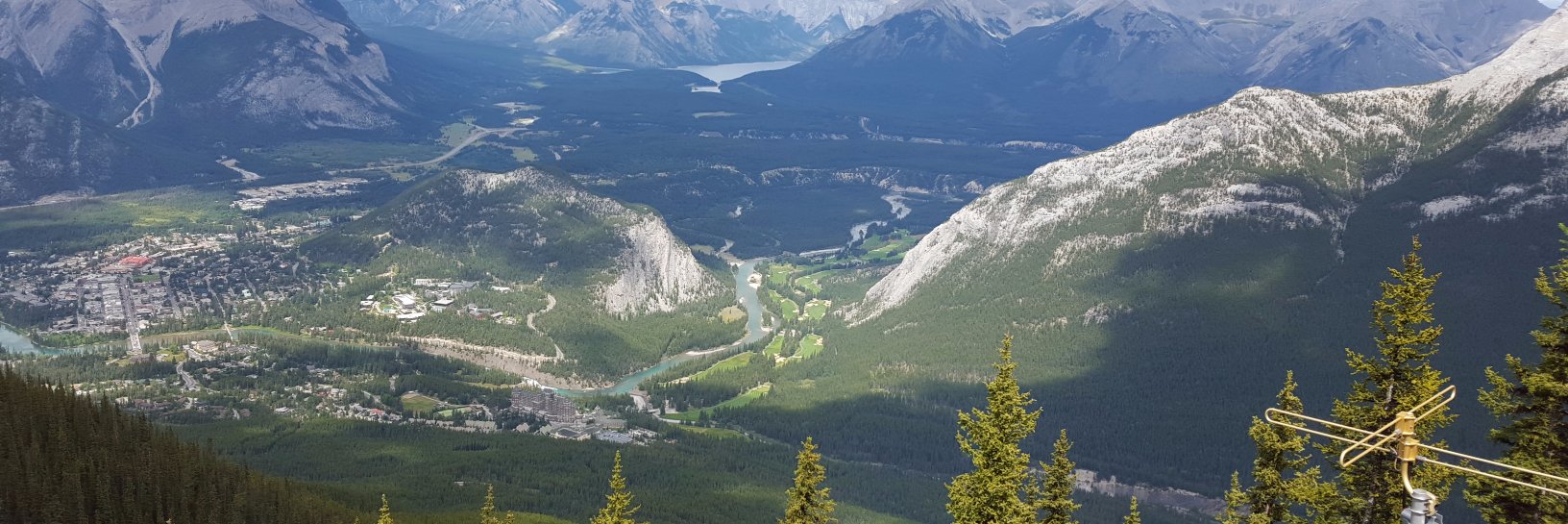 Reegan W Price banner