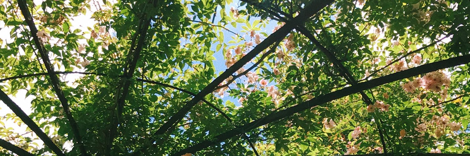 georgiewarttig's profile banner image