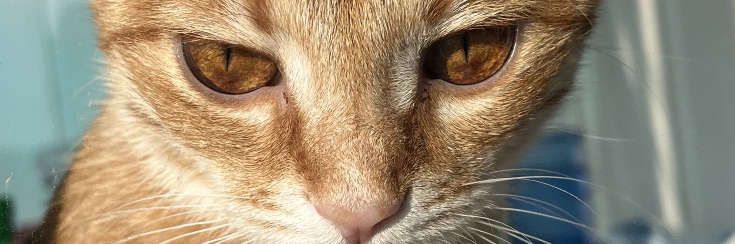 GureynBenrays's profile banner image