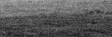 v7_79's profile banner image