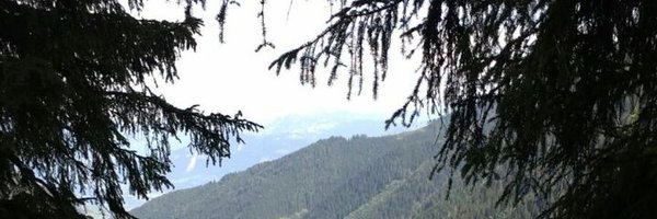 samwalds Profile Banner