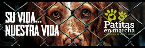 PatitasAsoc Profile Banner