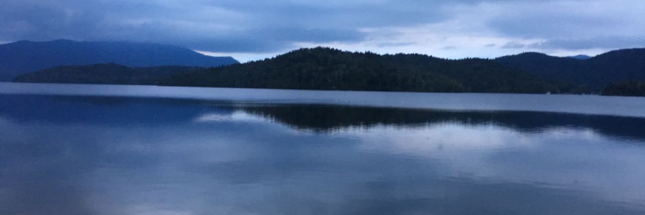 mrohka's profile banner image