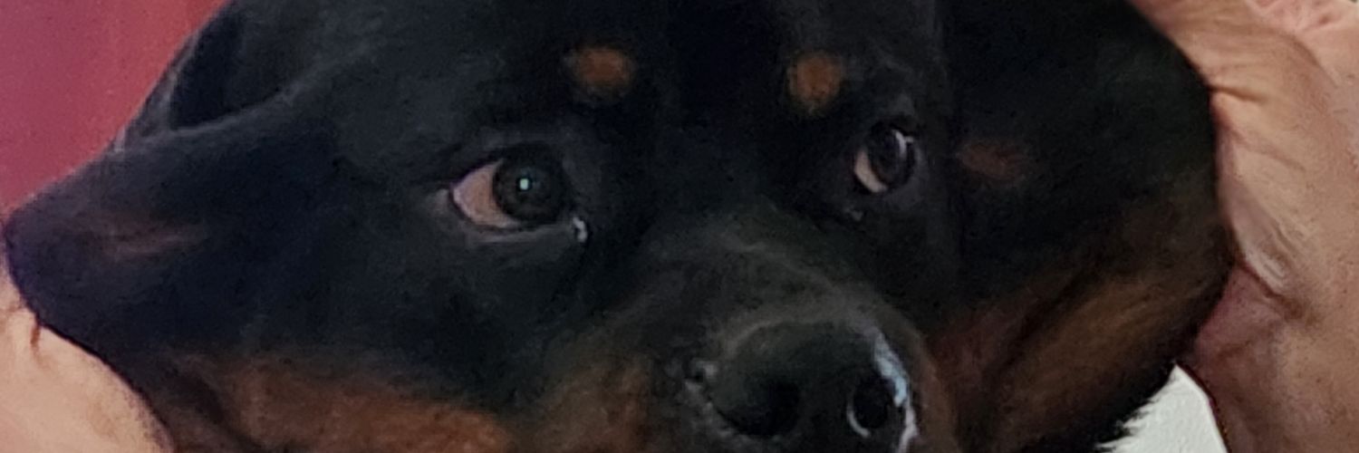 AmazonGrace's profile banner image