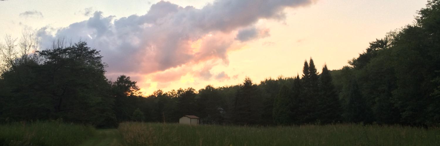 schmades89's profile banner image