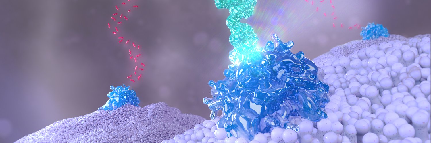 AnaPerezDom's profile banner image