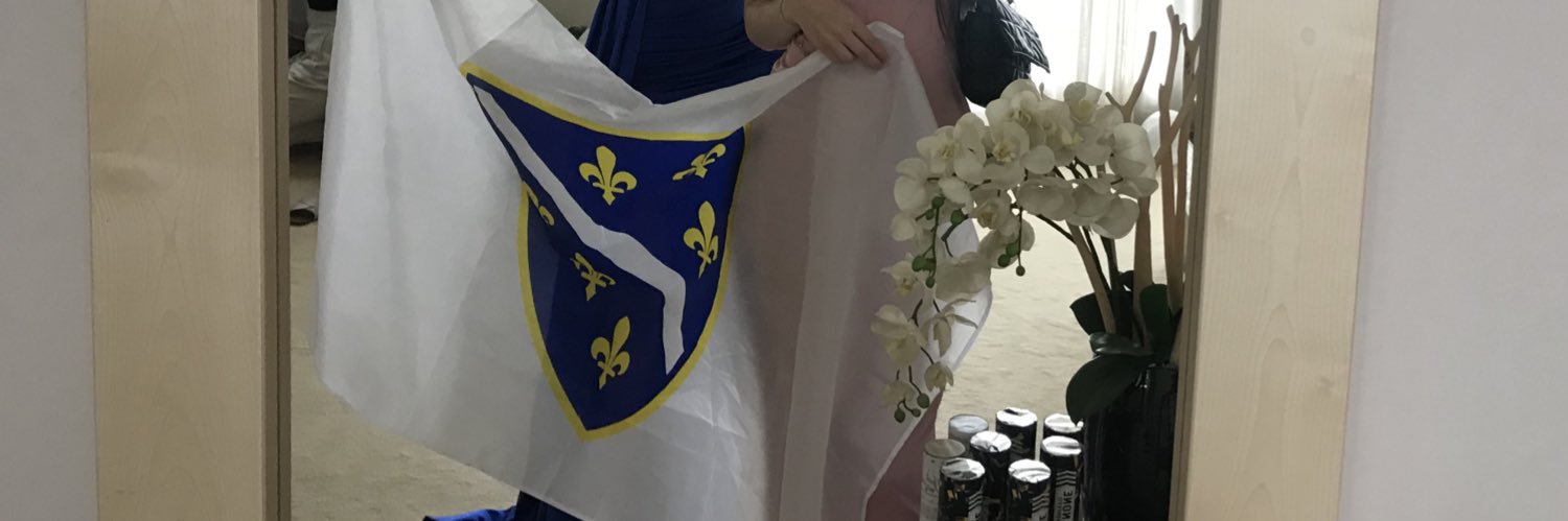 𝐼 𝑁 𝐸 𝑆 𝐴's banner