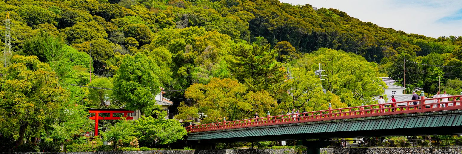 CATzombie🦆 banner