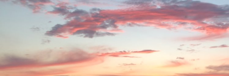 Clairezebrowski's profile banner image