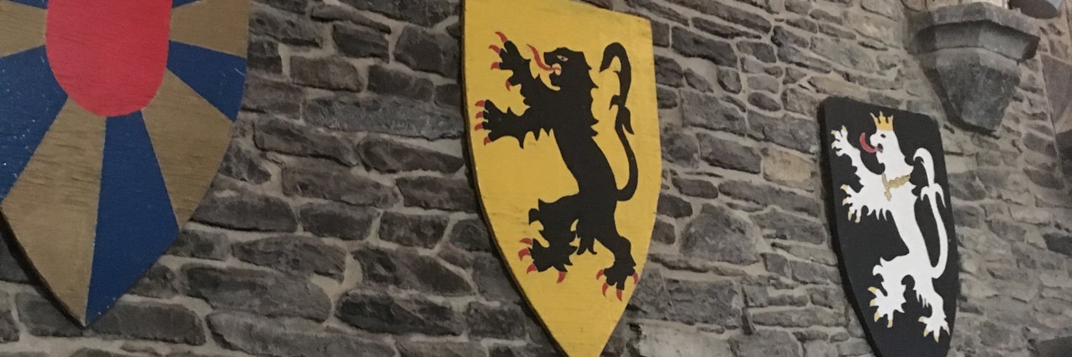 FLANDRECOLTD's profile banner image