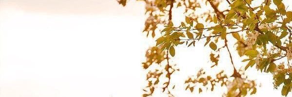 am_alwlid's profile banner image