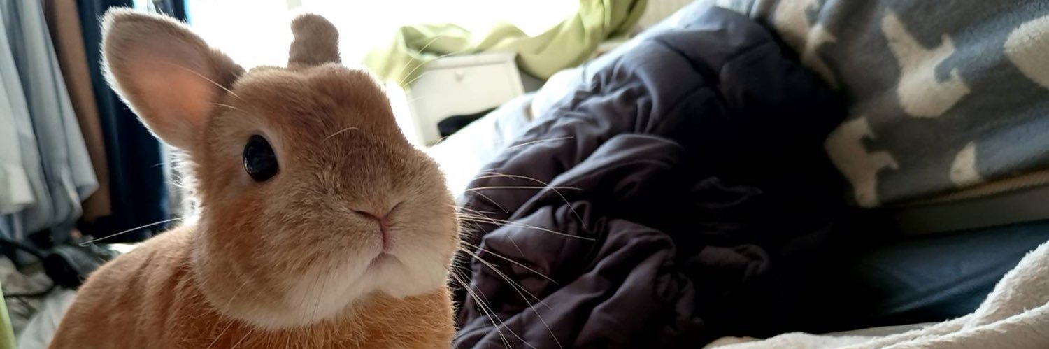 ポピー(ウサギ) モニ(飼い主) banner