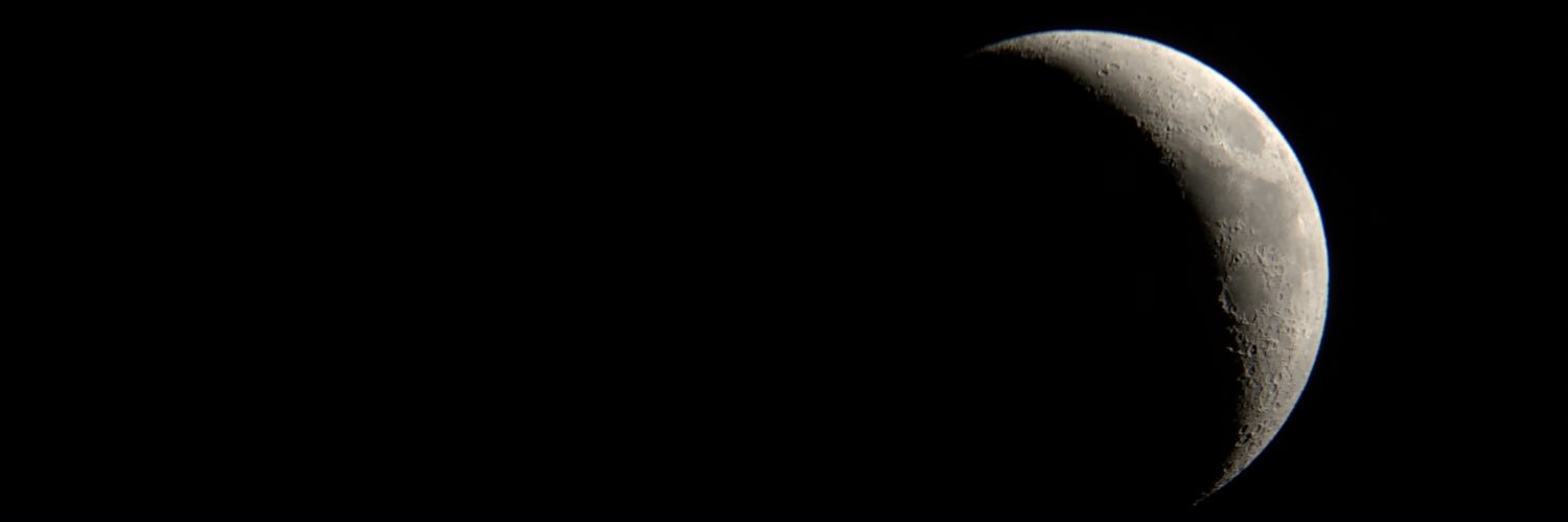 Wayne Miller banner