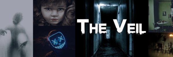 VeilAudio Profile Banner