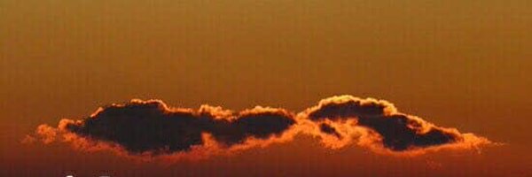 multicoms Profile Banner