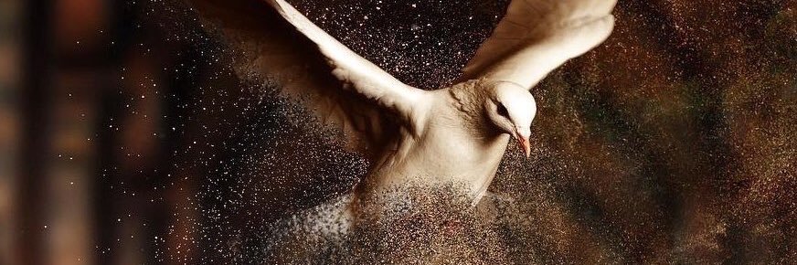 AhnySlippe's profile banner image