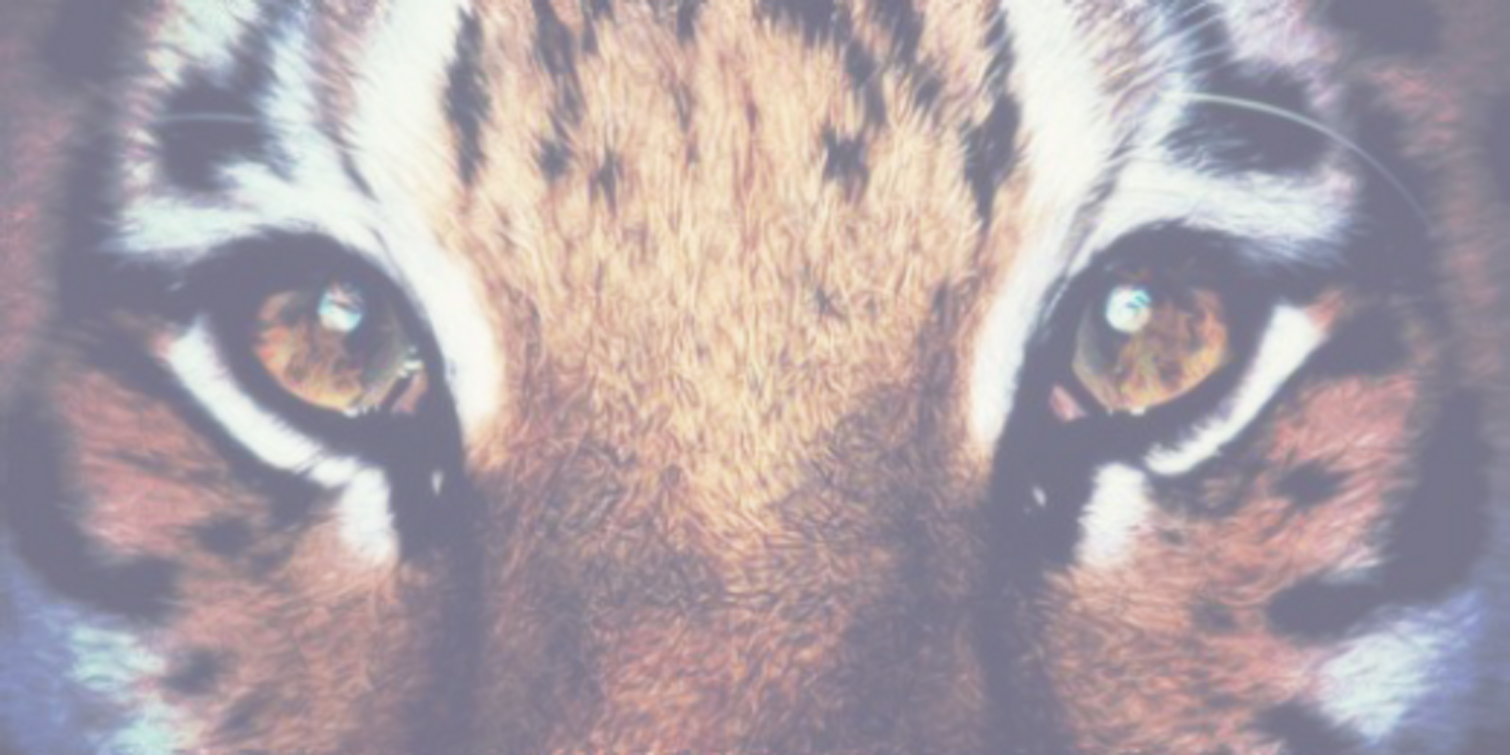StyIesCrews's profile banner image
